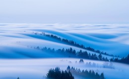 森林的早晨天空雾霾风景桌面壁纸