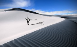 幽静的沙丘简约风景壁纸
