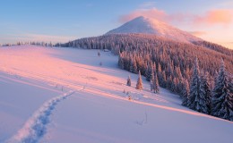 冬天下着雪的山顶上风景桌面壁纸