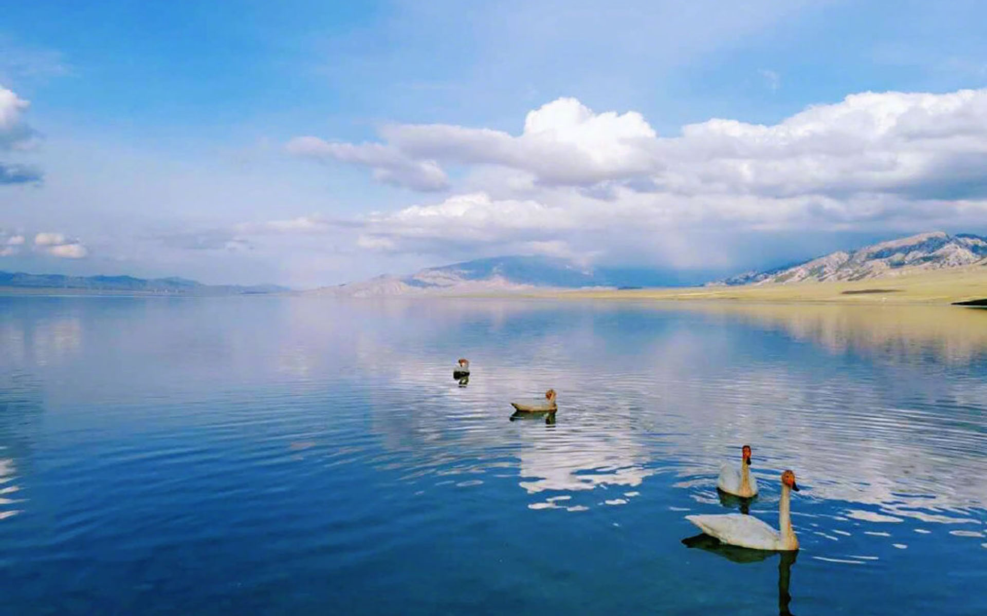 赛里木湖的唯美自然风光桌面壁纸 桌面壁纸 556资源网